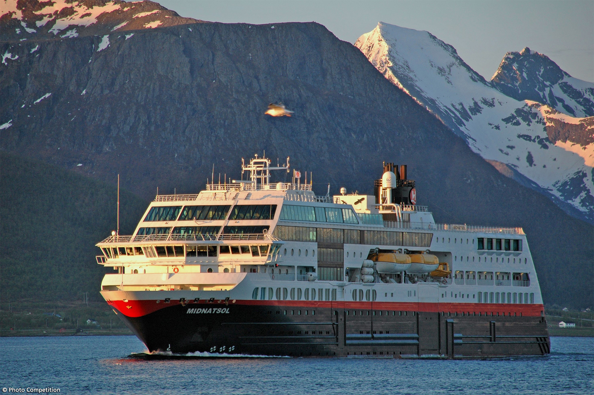 Hurtigruten über 1900 Kreuzfahrten 20202021 Beim Testsieger Buchen